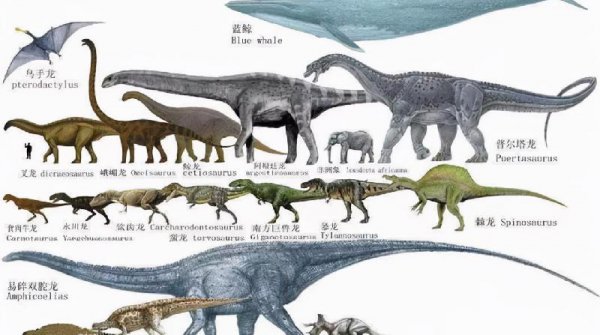 恐龙灭绝的原因有哪些说法