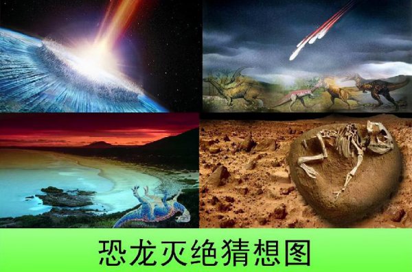 恐龙灭绝的原因有哪些说法