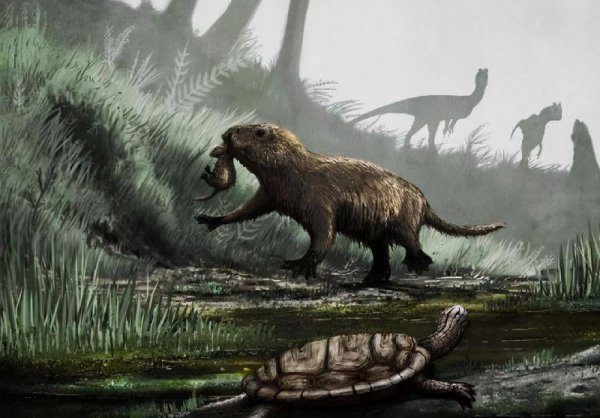 恐龙灭绝的原因有哪些说法