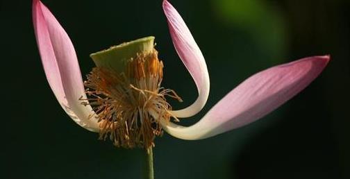 人生迷茫的时候该怎么办