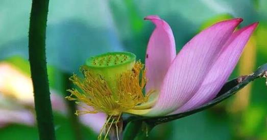 人生迷茫的时候该怎么办