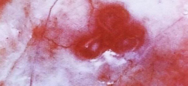 汗血宝马流的汗是血吗