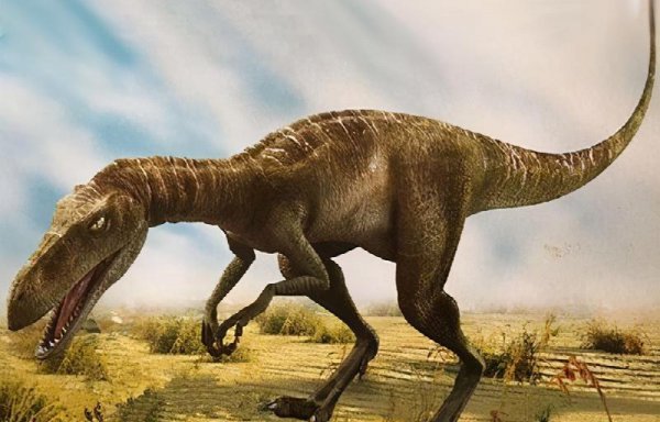 恐龙是怎么灭绝的原因和依据