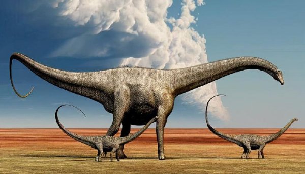 恐龙是怎么灭绝的原因和依据