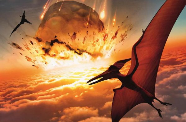 恐龙是怎么灭绝的原因和依据