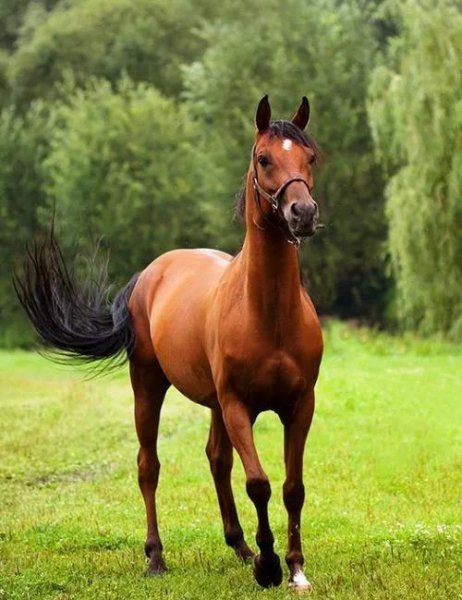 马王爷有几只眼啥意思