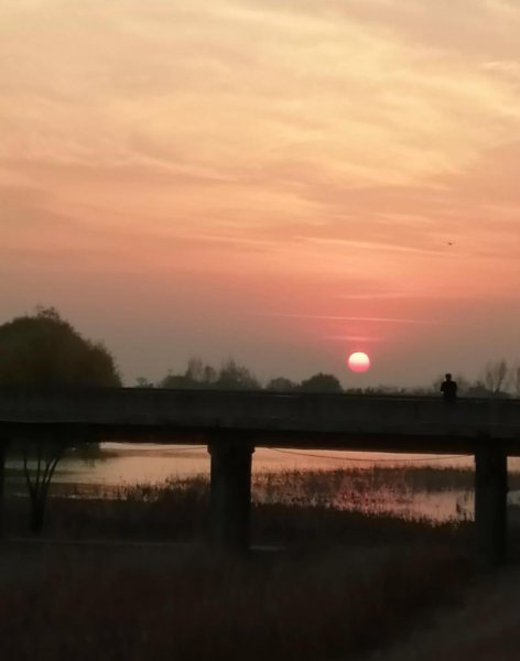 马王爷有几只眼啥意思