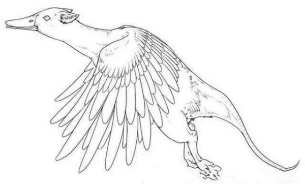 最早的地理学著作