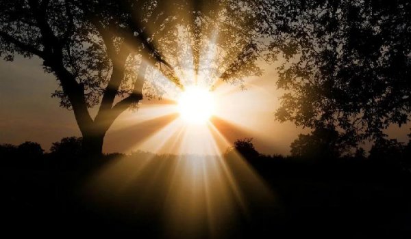 爱上一个不该爱的人怎么办