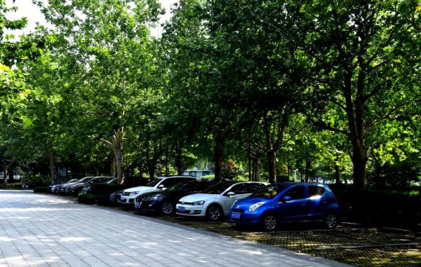 白色车身上有很多斑点怎么清除