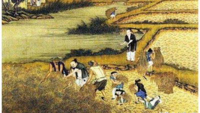 兵马未动粮草先行什么意思 古代打仗粮草的重要性