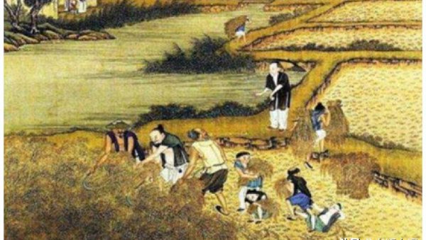 兵马未动粮草先行什么意思