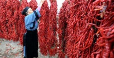 中国最辣的辣椒排名 我国最辣辣椒排行榜