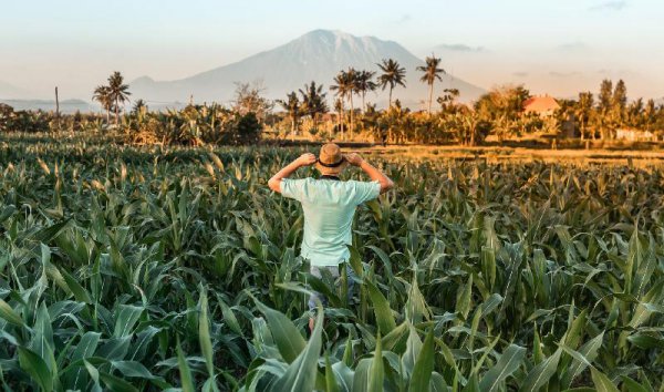 男人变心了还能回心转意吗