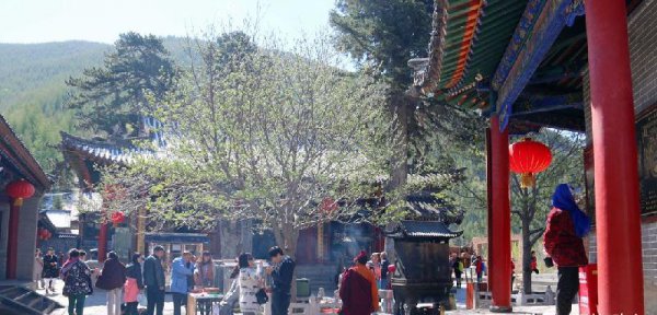 五台山求什么最灵验