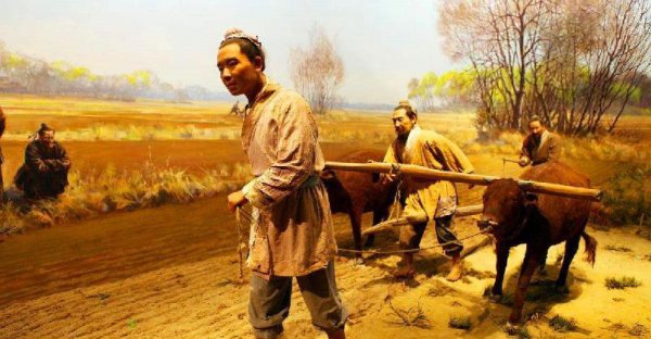 中国古代赋税制度的演变