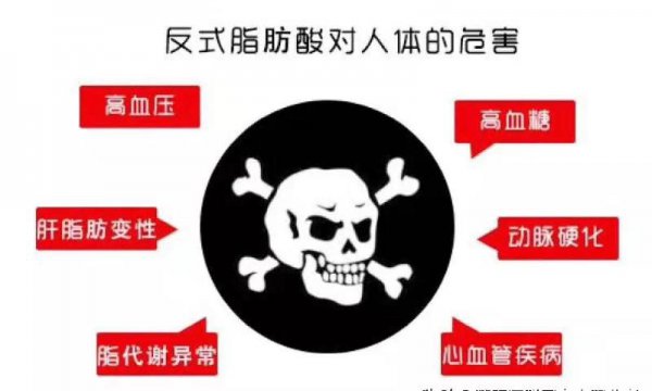 植物奶油和动物奶油哪个好