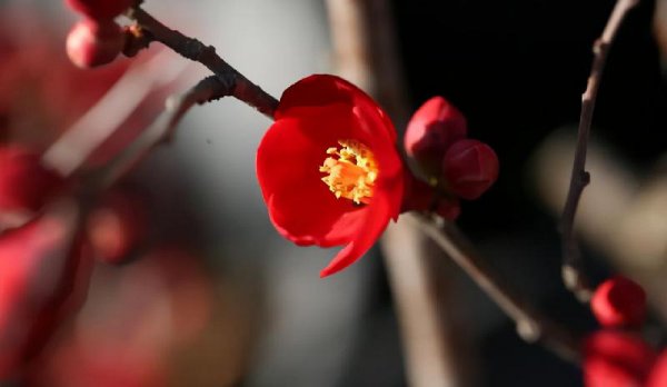 分手后如何让他忍不住联系你