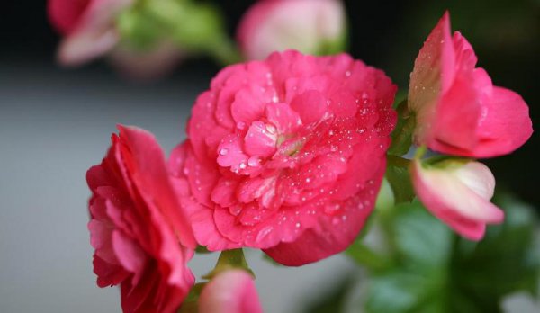 分手后如何让他忍不住联系你