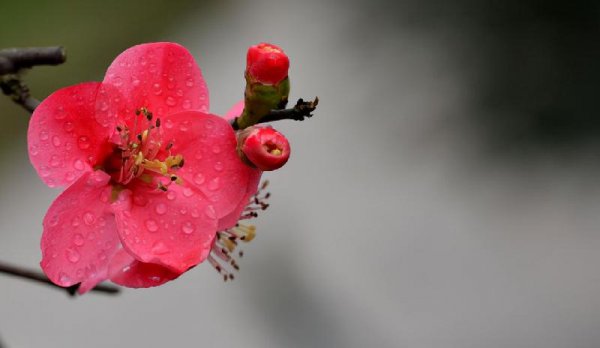 分手后如何让他忍不住联系你