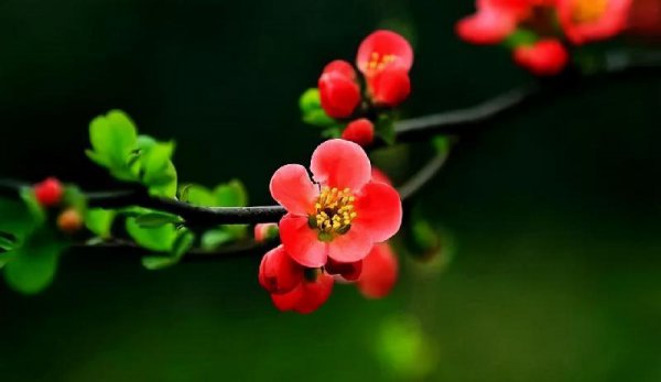 分手后如何让他忍不住联系你