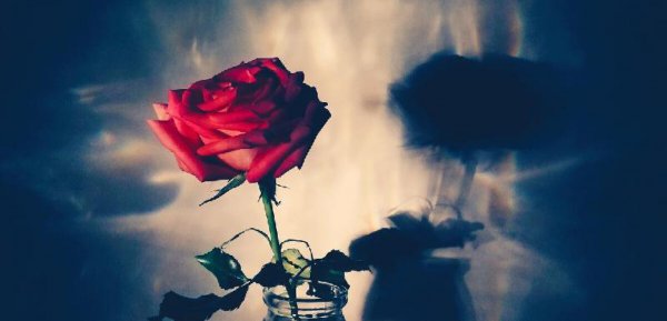 一个已婚男人爱上一个已婚女人的表现