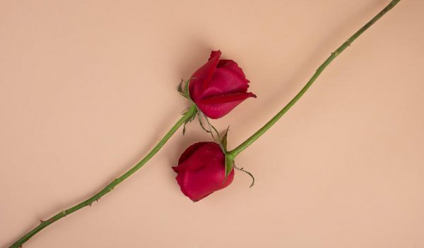 一个已婚男人爱上一个已婚女人的表现