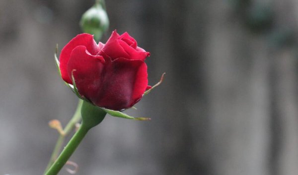 一个已婚男人爱上一个已婚女人的表现