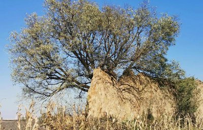 一个人无聊的时候可以做什么 适合一个人无聊时做的事