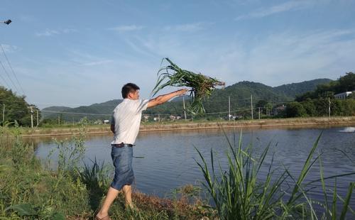 适合农村个人在家创业项目