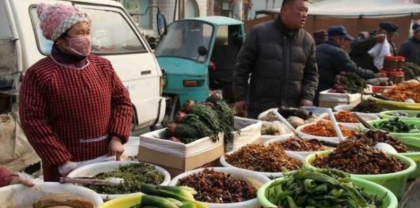 适合农村个人在家创业项目