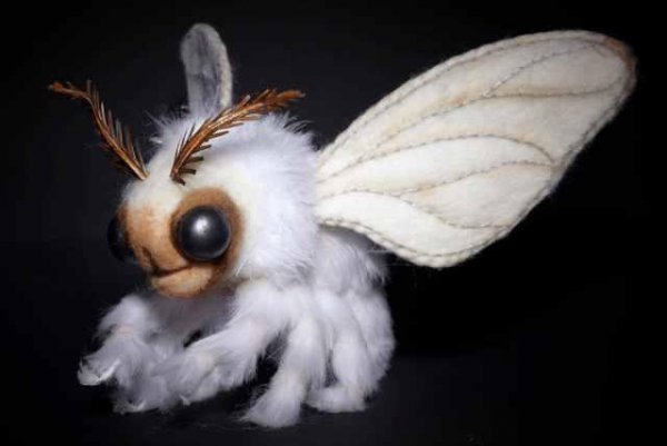 世界上最可怕的动物