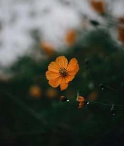 优美的开头和结尾摘抄 好的结尾和开头摘抄