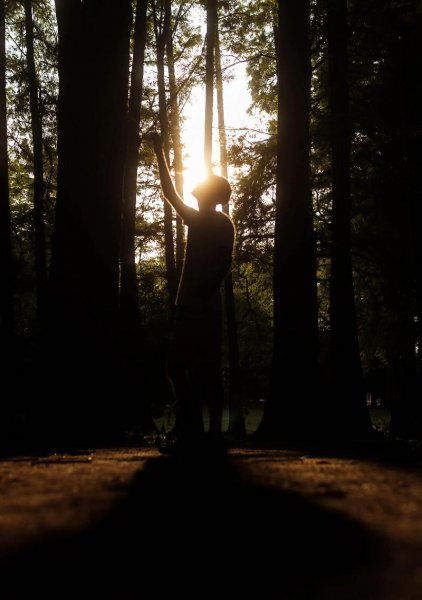 优美的开头和结尾摘抄