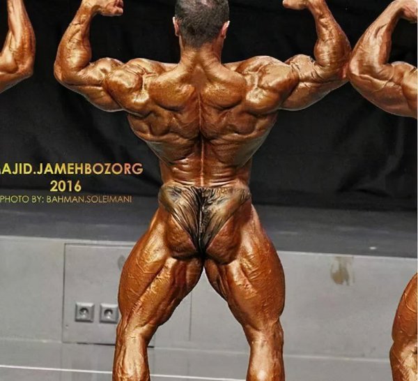 健身房一周训练计划表