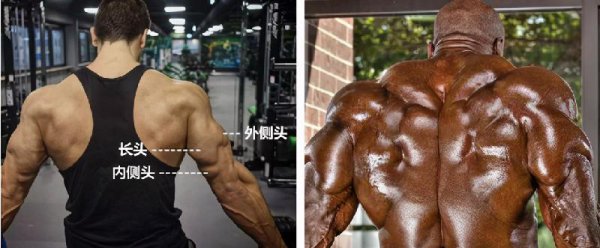 健身房一周训练计划表