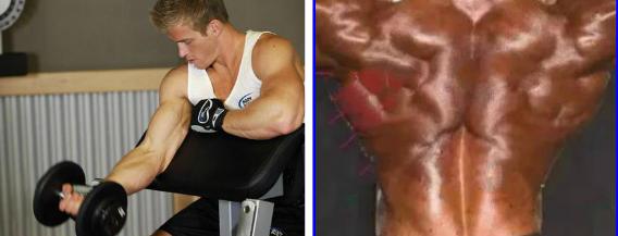 健身房一周训练计划表