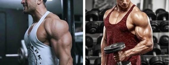 健身房一周训练计划表