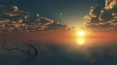 真正专一的人表面花心 看似花心的人其实尤其专一