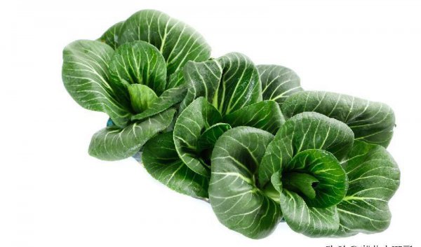 十大最有营养的蔬菜排名