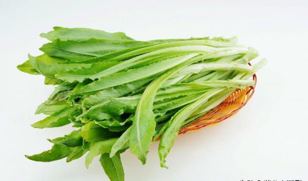 十大最有营养的蔬菜排名