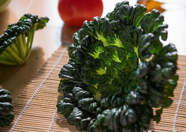 十大最有营养的蔬菜排名