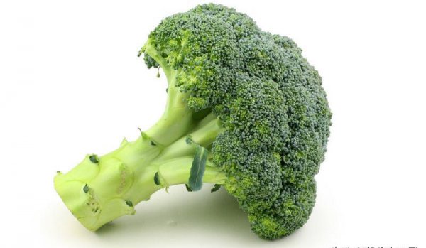 十大最有营养的蔬菜排名