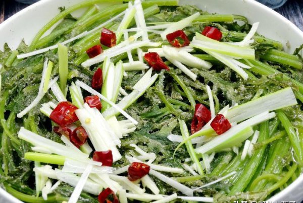 十大最有营养的蔬菜排名