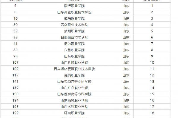山东职业学院排名前十