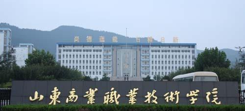 山东职业学院排名前十