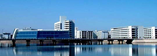 山东职业学院排名前十