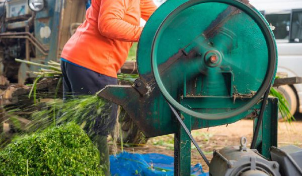 养100只兔子一年能赚大概多少钱