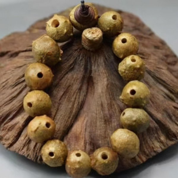 白玉菩提根手串值钱吗