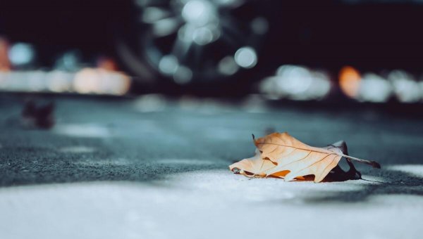 金牛女喜欢你的8个预兆